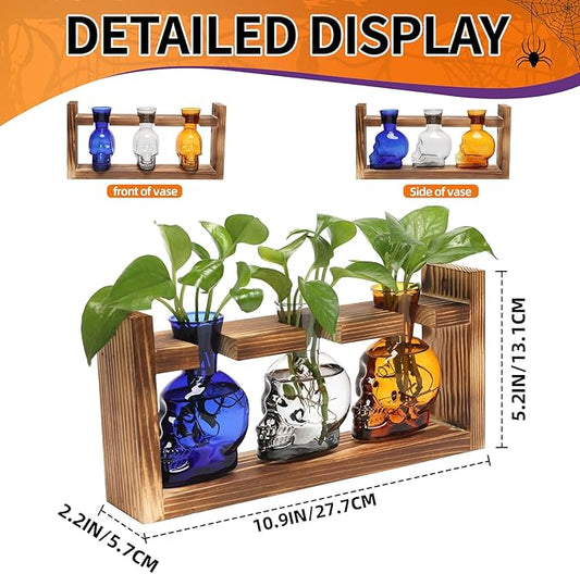 Terrarium Propagation Station Set, Skull Glass Vases with Wood Stand, 3 Pieces