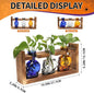 Terrarium Propagation Station Set, Skull Glass Vases with Wood Stand, 3 Pieces