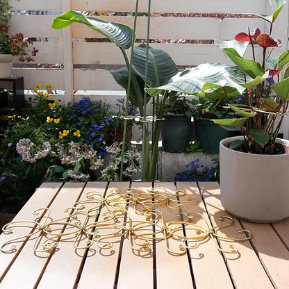 Durable Monstera Plant Support Hooks 5.5in - 5-Piece Set for Indoor Plant Stabilization, Easy-to-Use Grapple Holders for Monstera and Turtle Shell Plants for Plant Lovers