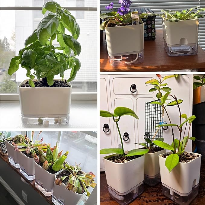 Planterhoma Self Watering Plant Pots for Indoor Plants 7 inch, 8 Packs Rectangular Self-Watering Planters with Drainage Hole, White African Violet Pots for Devil's Ivy, Spider Plant, Orchid, Herb