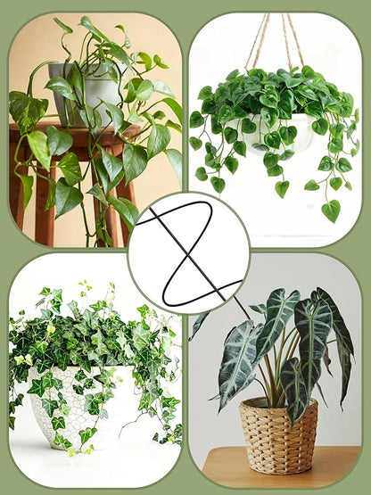 4 Pack Small Wavy Trellis for Potted Plants Indoor, 15 in Garden Trellis for Climbing Plants Outdoor, Single Stick Metal Climber Support Stakes for Vine Ivy Hoya Flower (Black)