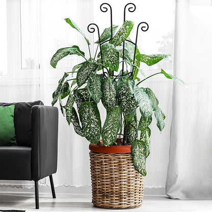 32.6in Plant Trellis for Climbing Plants Indoor Outdoor, Expandable Large Metal Garden Trellis for Potted Plants, Heavy-Duty Tall Pothos Plant Climber Support for Ivy Pothos Hoya Monstera, 2P