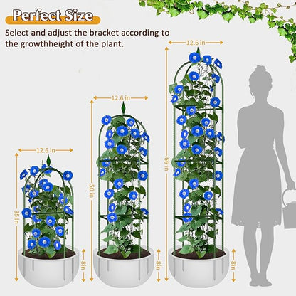 Garden Trellis for Climbing Plants, Tomato Cage, Rose, Flowers, Grape, Pea, Cucumber Trellis, Rustproof Plastic Coated Metal Plant Support for Potted Plants Indoor Outdoor - 2PC Plant Trellis
