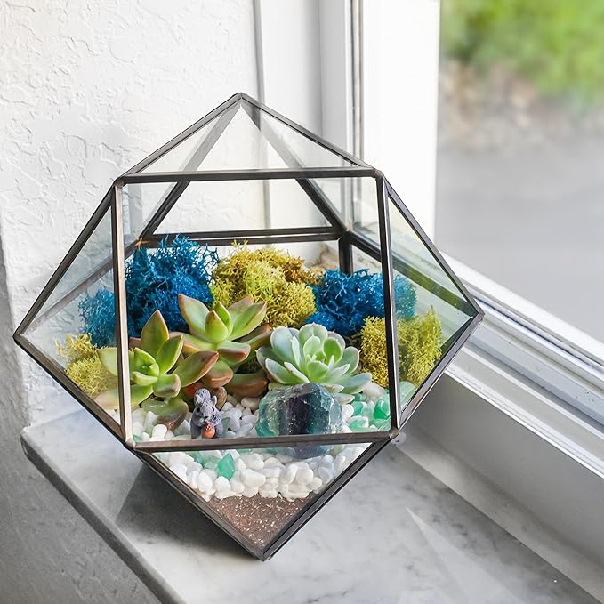 Terrarium Kit with 7-Inch Glass Dodecahedron Container, Moss and Tools