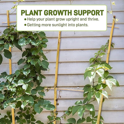 Avalution 10 Pack Bamboo Trellis for Climbing Plants, 3 FT Garden Ladder Trellis for Potted Plants Indoor, Fan-Shaped Small Plant Support Trellis for Houseplants Ivy Hoya Vine Monstera