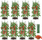 8PCS Tomato Cages for Garden, Tomato Trellis for Raised Garden Bed, 51.2" Tall Cage Plant Support for Pots, Gardening Supplies Trellis for Climbing Plants (8PCS，High: 51.2 Inch)