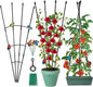Garden Trellis for Climbing Plants Outdoor & Indoor, 47in Obelisk Trellis and Tomato cage 2 Shapes Rustproof Plant Support for Indoor Plants Trellis for Potted Plants with 5pcs Decorative Butterfly
