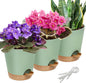 Aulock 6in Self Watering Pots for Indoor Plants - 3pcs Bottom Watering African Violet Planters with Drainage, Plastic Houseplant Flower Pots for Snake Plant Succulent Garden Live Plants