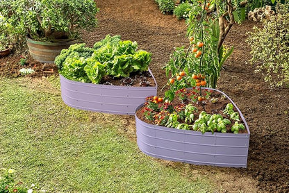 Plant & Plot Galvanized Raised Garden Beds Outdoor // Planter Raised Beds for Gardening, Vegetables, Flowers // Large Metal Garden Box (Lavender) // Tool-Free Assembly