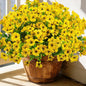 20 Bundles Artificial Flowers for Outdoors, UV Resistant Fake Plants Flowers Greenery Shrubs Plants for Decoration Outside Plants Hanging Planter Home Garden Decor (Yellow)
