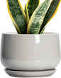 G EPGardening Ceramic Plant Pots - 7 Inch Plant Pot with Drainage and Saucer, Ceramic Planters for Indoor Outdoor Plants, Modern Round Planter, Room Decor, Gardening Gifts for Women Men, Light Grey