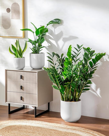 vancasso 6+8+10 inches Ceramic Plant Pots, Set of 3, Planters with Drainage Hole, Flower Pots Planters Pots for Indoor Plants, Modern Indoor Decorative Garden Pot, Home Decor, White
