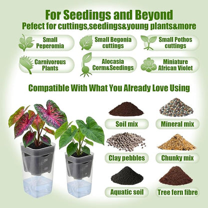 LemonRoad 20 Pack 2" and 2.5" Small Self Watering Pots for Indoor Plants with 20 Plant Label Mini Clear Plastic Planters with Water Level and Drainage Hole for Propagation, Succulents, African Violet