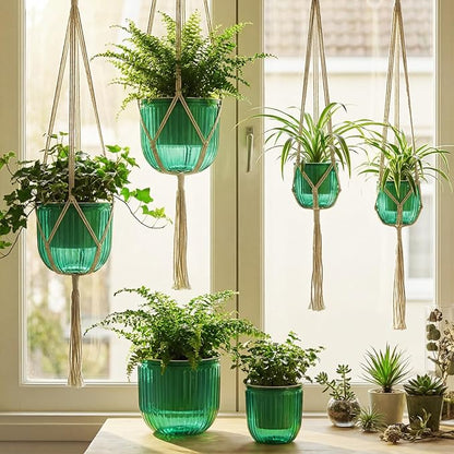 6 Pack Self Watering Hanging Planters Indoor Flower Pots(4.5"+6.5") Visible Water Level Markers 3 Hanging Ropes with Drainage Holes for Indoor Outdoor Garden Home Decor Supplies(Emerald)
