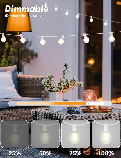 Indoor String Lights, 50 FT Frosted White G40 LED Bulbs