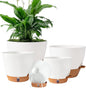 Self Watering Pots for Inoor Ourdoor Plants 10/9/8/7/6.5 Inch Plastic Planters with Drainage Holes & Water Level Indicator, Decorative House Flower Nursery Planting Pots with Saucers ((White)