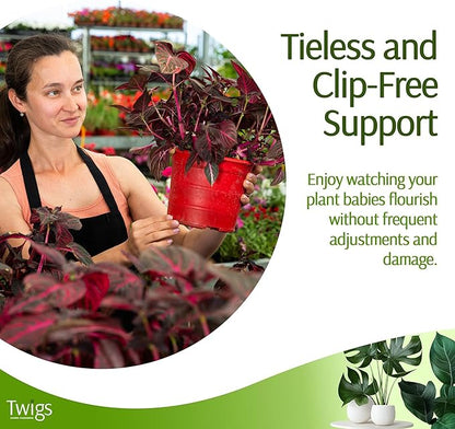 Mini Twigs Plant Support Stakes for Small Plants, Indoor & Outdoor Use, Gardening Supplies, Garden Accessories, Trellis & Ring Alternative, Made in USA - Begonia (Red), 10 Pack, 12" L