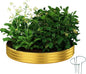 Galvanized Metal Planter Round Raised Garden Bed Kit for Gardening Outdoor Garden Box Raised Flower Bed 1PC Gold 3X3X1FT