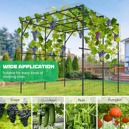 DoCred Tall Garden Arch Trellis for Climbing Plants, 79 Inch Tall Metal Plant Support Trellis Archway for Climbing Vine Vegetable/Fruit/Flower Outdoor Yard Lawn Garden Arch Tunnel Trellis