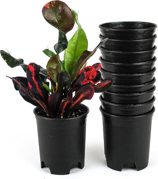4 Inch Nursery Pot Plastic Planters for Outdoor Indoor Plants Gardening Flower Pots 10-Pack 0.25 Gallon Pot Liners with Drainage Holes