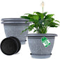 10 Inch Flower Pots Planters for Indoor Outdoor Plants, 3 Pack Plastic Large Plant Pots with Drainage Hole & Tray, Modern Decorative Garden Pot with Saucer, Plant Container for House