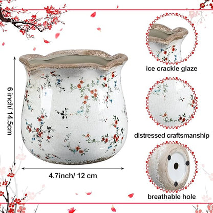 6 Inch Ceramic Plants Pots Vintage Ceramic Flower Planters Crackle Glaze Finish Flower Pots Decorative Floral Vintage Planters for Living Room Garden Home Decor Gifts(Cute)