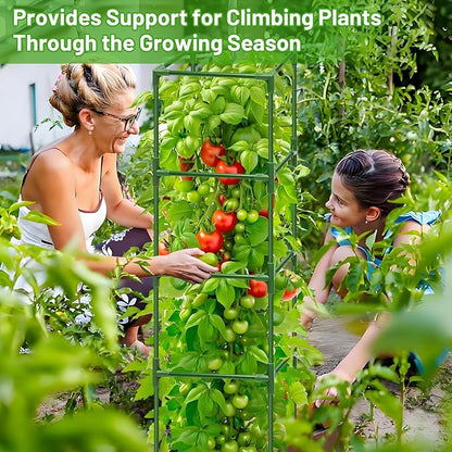 Legigo 2 Pack Square Tomato Cages for Garden- Up to 60 Inch Tomato Plant Support Stakes Cage, Heavy Duty Steel Tomato Trellis Garden Stakes for Raised Garden Bed Climbing Vegetables Cucumbers Flowers