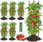 Tomato Cage for Garden,6 Pack Tomato Trellis for Raised Garden Bed Height Adjustable Up to 51.2inch Tomato Plant Support Stakes for Climbing Plants Vegetables Fruits Flowers（Extra Bold）