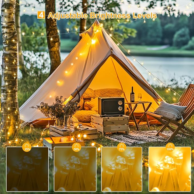 String Lights, 1000 Warm White LEDs, 272 Ft with Remote and 8 Modes