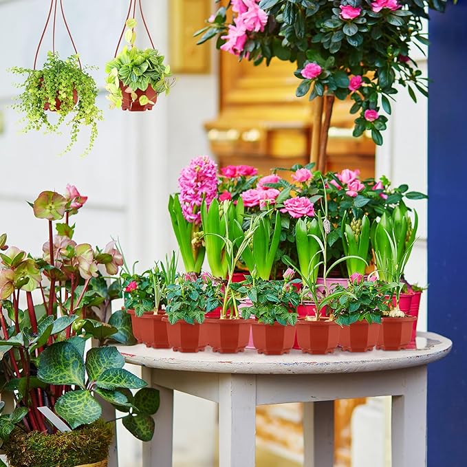 Roshtia 50 Pcs 3.7 inch Plastic Hanging Plant Pots with Hooks Flower Pots Baskets Outdoor Hanging Nursery Planter Holder for Home Garden Balcony Porch(Brown, 3.7 inch)