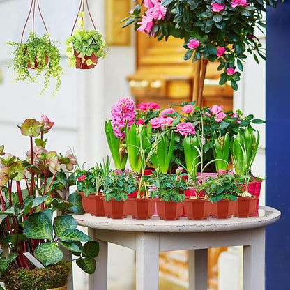 Roshtia 50 Pcs 3.7 inch Plastic Hanging Plant Pots with Hooks Flower Pots Baskets Outdoor Hanging Nursery Planter Holder for Home Garden Balcony Porch(Brown, 3.7 inch)