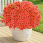 Artificial Flowers for Outdoor,Silk Flowers No Fade Fake Plastic Flowers UV Resistant Faux Plants for Outdoors Outside Front Porch Hanging Planter Window Box Garden Home Decoration,13 Bundles(Orange)