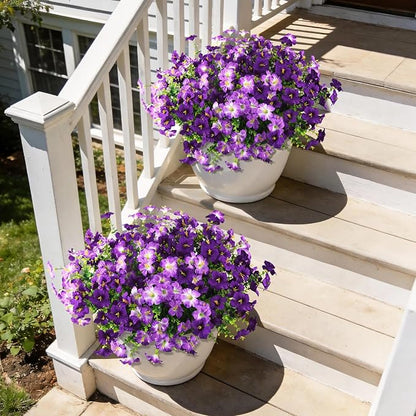 INQCMY Artificial Flowers for Outdoors Fake Plants Spring Decoration, 12 Bundles Faux Petunias UV Resistant Realistic Silk Flower for Outside Planters Patio Porch Yard Window Box (Double Purple)
