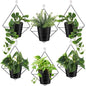 Baderke 6 Sets Wall Planters for Indoor Plants Hanging Wall Planter with Metal Holder Geometric Self Watering Wall Pots Mounted Succulent Pots, 5" Black Plant Container