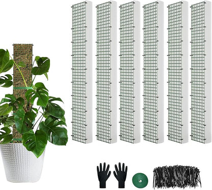 60"/40"/24" Metal Moss Pole, D Shape Sphagnum Moss Pole, Moss Poles for Climbing Plants, Monstera, Indoor Climbing Plants (4Pcs 24")