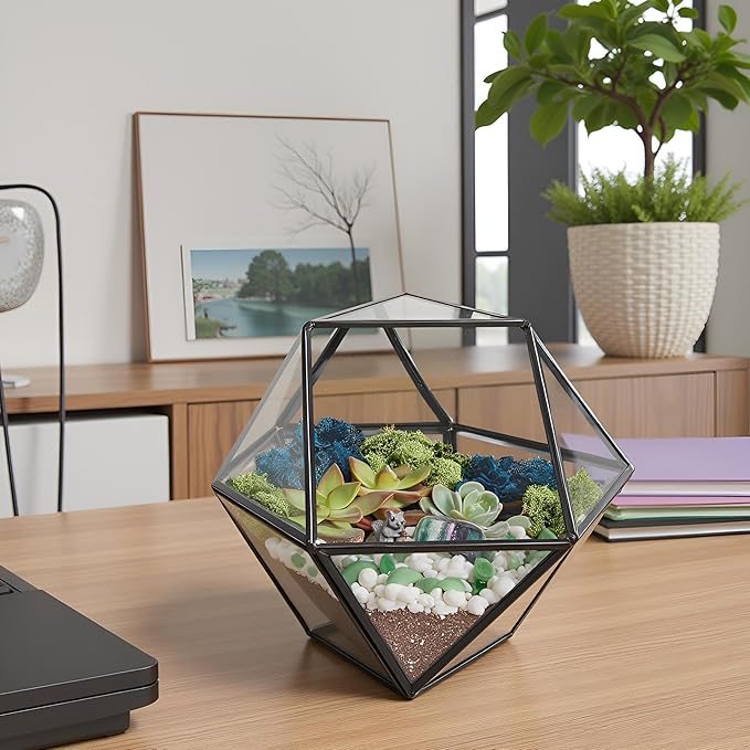Terrarium Kit with 7-Inch Glass Dodecahedron Container, Moss and Tools