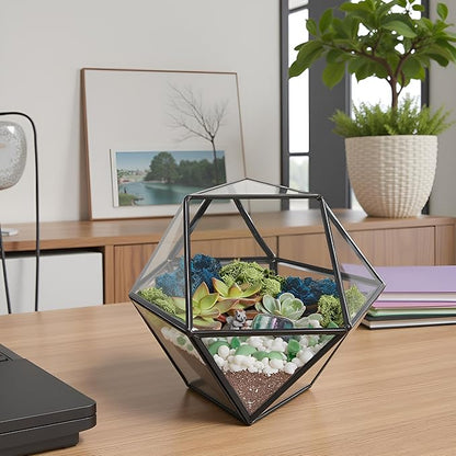 Terrarium Kit with 7-Inch Glass Dodecahedron Container, Moss and Tools