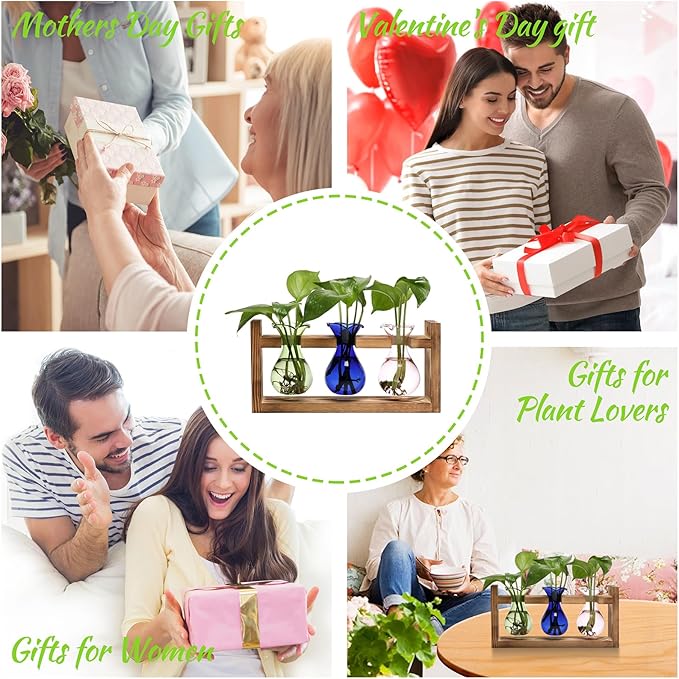 Terrarium Propagation Station with Three Glass Bulbs and Wooden Stand