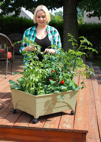 Emsco Group 2342-1HD City Picker Self Watering and Improved Aeration – Mobile Unit with Casters-Sand Raised Bed Grow Box