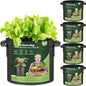 T4U 3 Gallon Grow Bags, Upgrade Grow Bags with Handles, Heavy Duty Thickened Nonwoven Fabric Pots, 3 Gallon Pots for Plants, Rosemary, Chamomile, Onion (5 Pack)