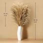 Dried Pampas Grass Stems, 9 Pack, 46-48 Inch Brown Plumes