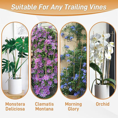 10 Pack 4ft Bamboo Trellis for Climbing Plants - Fan-Shaped Support Trellis for Potted Plant Decor in Door