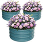 ZXZYHFTY Round Galvanized Raised Garden Bed kit, Blue Outdoor Garden Raised Planter Box, Round Large Metal Raised Garden Beds for Vegetable 2 * 2 * 1ft 3 Pcs