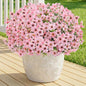 Artificial Flowers for Outdoor Indoor,Silk Flowers No Fade Fake Plastic Flowers Faux Plants for Outdoors Outside Front Porch Hanging Planter Window Box Garden Home Decoration,13 Bundles(Pink)