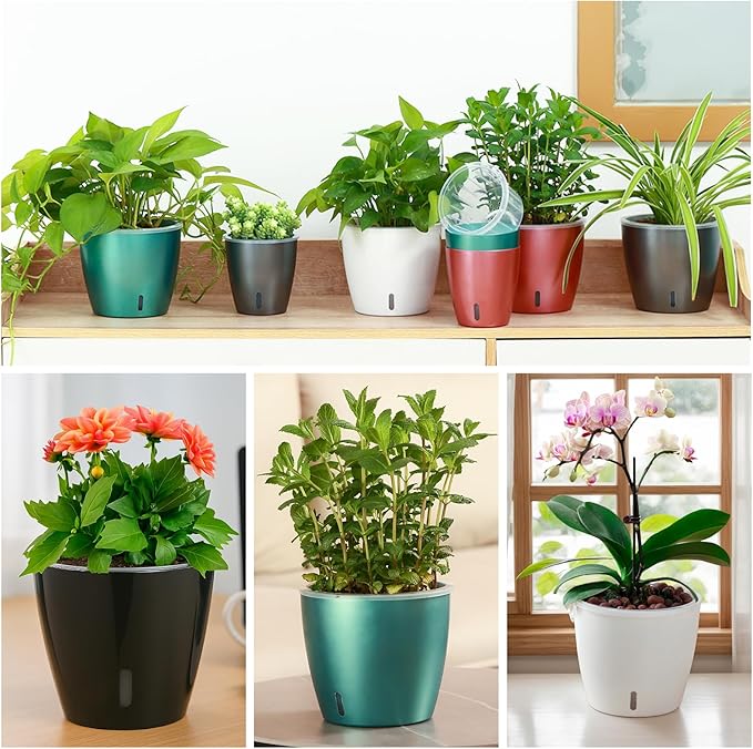 Self Watering Pots for Indoor Plants, 12-Pack 5'' Self Watering Planter with Drainage Holes, Small African Violet Pots with Water Indicator, Clear Wick Pot, White/Black/Blue/Rose Gold
