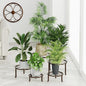 5 Pack Heavy Duty Rustproof Iron Corner Flower Pot Stand Holder,Round Supports Display Rack Tiered Plant Stand, Pot Rack Shelf Indoor Multiple Plants
