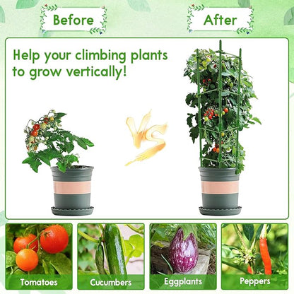 Riare 4 Pack 5.2 FT Tomato Cages for Garden- 63inches Heavy Duty Tomato Stakes and Supports, Adjustable Tall Tomato Plant Support Trellis for Pots, Raised Garden Bed, Climbing Vegetables Plants