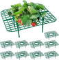 10 Pack Strawberry Plant Support, Strawberry Planting Stand, Keeping Strawberry Plants Clean, Strawberry Growing Racks, Strawberry Growing Frame