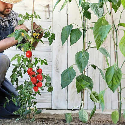 250 Pcs Tomato Clips, Plant Support Clips and J Tomato Hooks, Plastic Trellis Clip Vegetable Cages Vine Garden Clip for Tomatoes Cucumber Grape Melon, Makes Plants Grow Upright or Prevent Falling Off