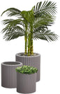 Keter Cylinder Set of 3 Rattan Resin Planter for Indoor and Outdoor Plants Ideal Decorative Planter for Porches and Patio Decor, Taupe